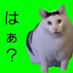 【猫ミーム】とあるロマサガＲＳ動画投稿者の日常